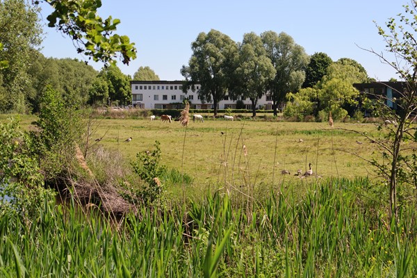 Medium property photo - Rumbeke 7, 1066 SZ Amsterdam